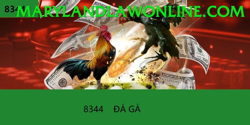 Đá Gà Trực Tiếp - Tải app AX88