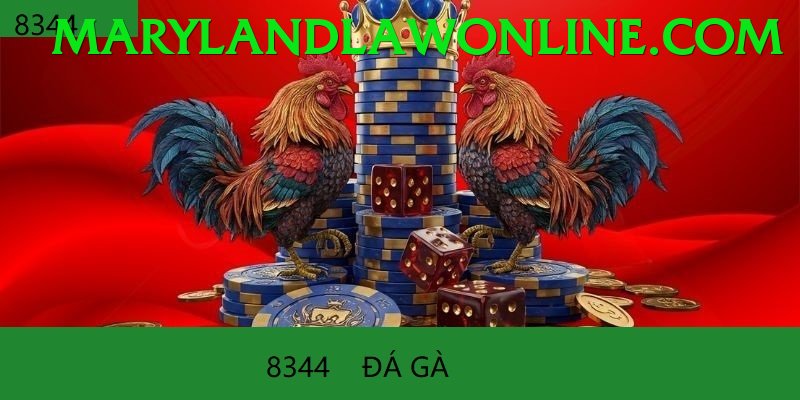 Đá Gà Trực Tiếp - Trải nghiệm tuyệt vời