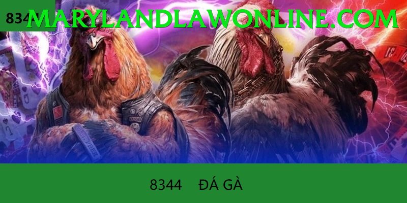 Đá Gà Trực Tiếp - Ưu đãi đặc biệt